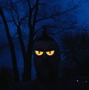 Meet your Posher, Allen